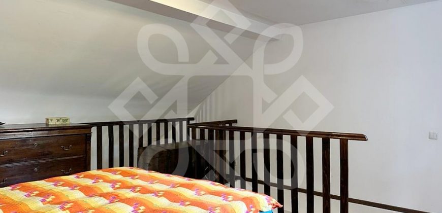 Apartament ultracentral la casa si curte proprie de inchiriat