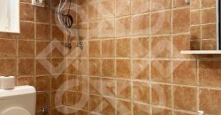 Apartament ultracentral la casa si curte proprie de inchiriat