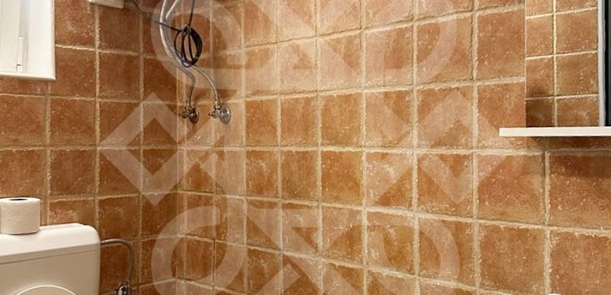 Apartament ultracentral la casa si curte proprie de inchiriat