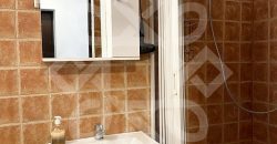 Apartament ultracentral la casa si curte proprie de inchiriat