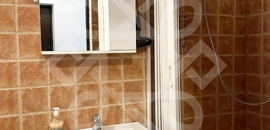 Apartament ultracentral la casa si curte proprie de inchiriat