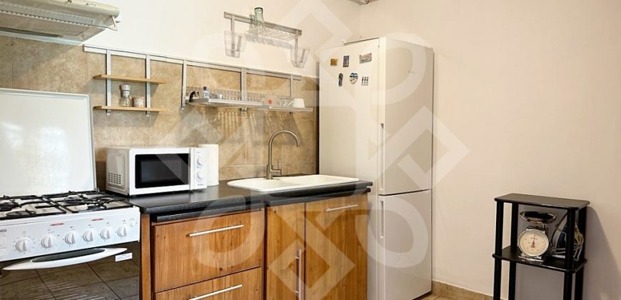 Apartament ultracentral la casa si curte proprie de inchiriat