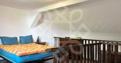 Apartament ultracentral la casa si curte proprie de inchiriat