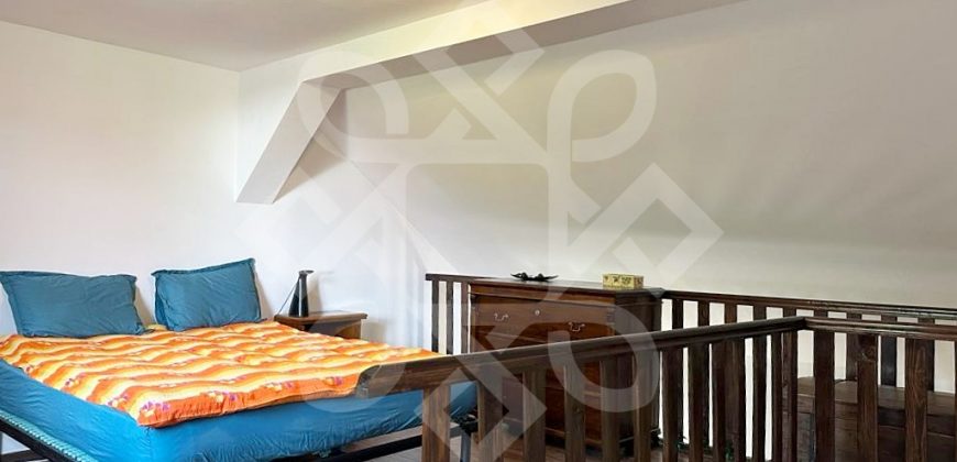 Apartament ultracentral la casa si curte proprie de inchiriat