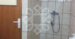 Hala de productie si depozitare 200 mp in Iosia Oradea