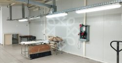 Hala de productie si depozitare 200 mp in Iosia Oradea