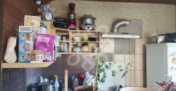 Casa cu 500mp teren de vanzare in Saldabagiu de Munte