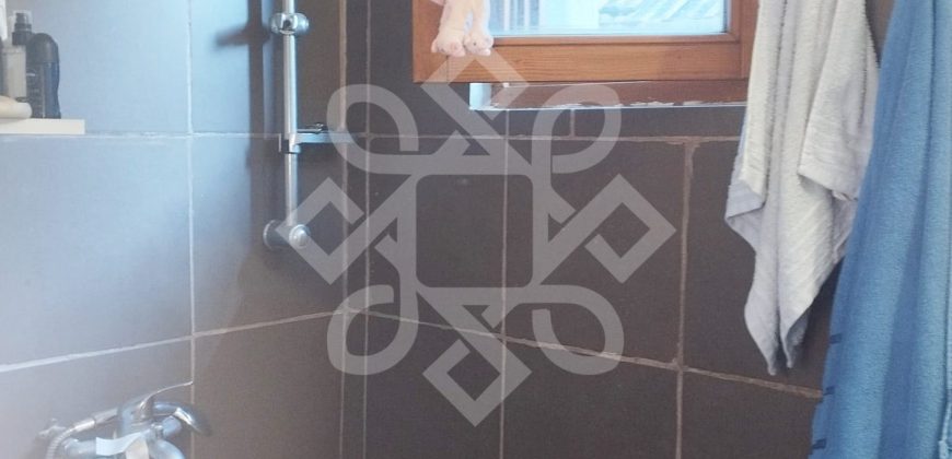 Casa cu 500mp teren de vanzare in Saldabagiu de Munte