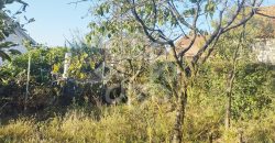 Casa cu 500mp teren de vanzare in Saldabagiu de Munte