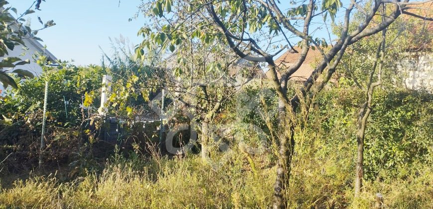 Casa cu 500mp teren de vanzare in Saldabagiu de Munte