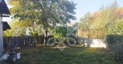 Casa cu 500mp teren de vanzare in Saldabagiu de Munte