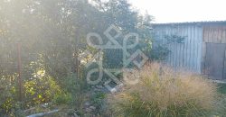 Casa cu 500mp teren de vanzare in Saldabagiu de Munte