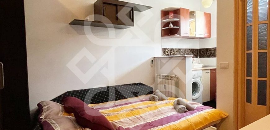 Garsoniera de inchiriat in zona Rogerius, Bulevardul Dacia