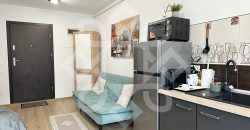 Apartament ultracentral cu 2 camere de inchiriat in Oradea