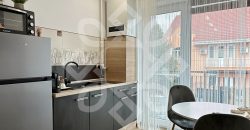 Apartament ultracentral cu 2 camere de inchiriat in Oradea