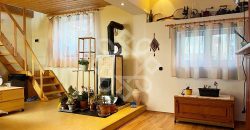 Casa cu teren 2052 mp in Saldabagiu de Munte