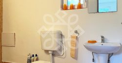 Casa cu teren 2052 mp in Saldabagiu de Munte