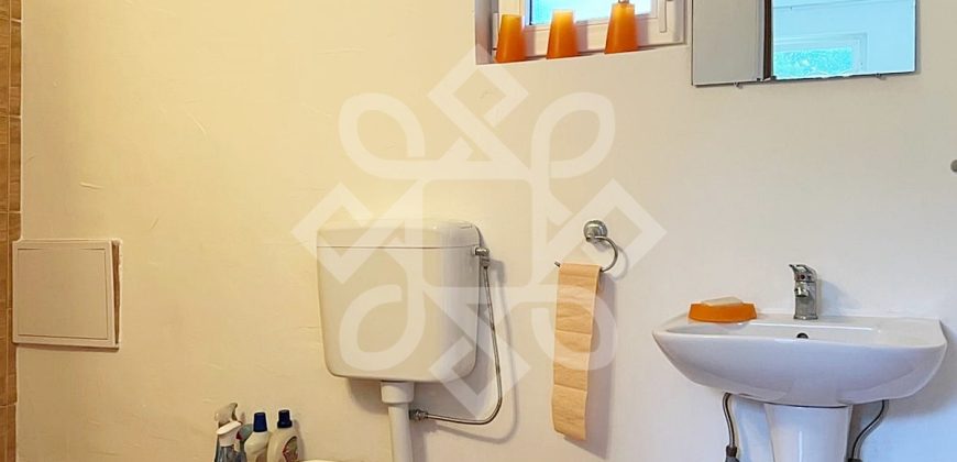 Casa cu teren 2052 mp in Saldabagiu de Munte