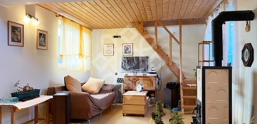 Casa cu teren 2052 mp in Saldabagiu de Munte