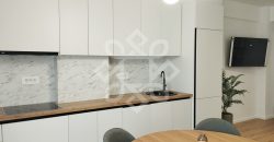 Apartament cu 2 camere de inchiriat in cartierul Luceafarul