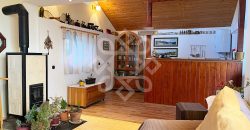 Casa cu teren 2052 mp in Saldabagiu de Munte