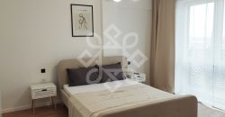 Apartament cu 2 camere de inchiriat in cartierul Luceafarul