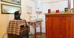 Casa cu teren 2052 mp in Saldabagiu de Munte