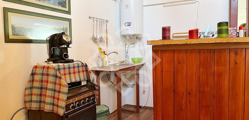 Casa cu teren 2052 mp in Saldabagiu de Munte