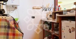 Casa cu teren 2052 mp in Saldabagiu de Munte
