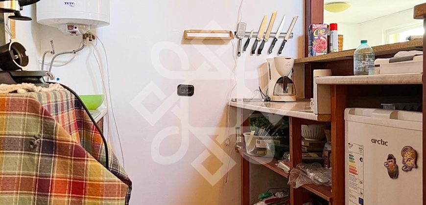 Casa cu teren 2052 mp in Saldabagiu de Munte