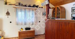 Casa cu teren 2052 mp in Saldabagiu de Munte