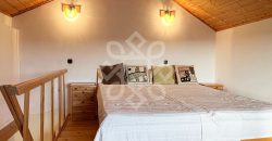 Casa cu teren 2052 mp in Saldabagiu de Munte