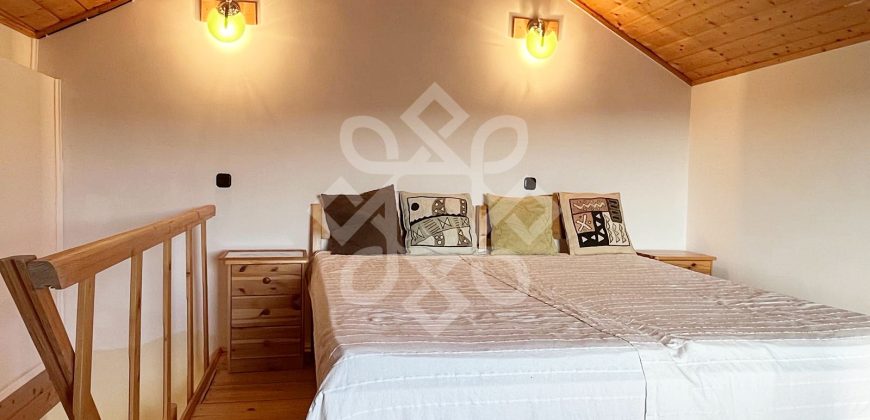 Casa cu teren 2052 mp in Saldabagiu de Munte