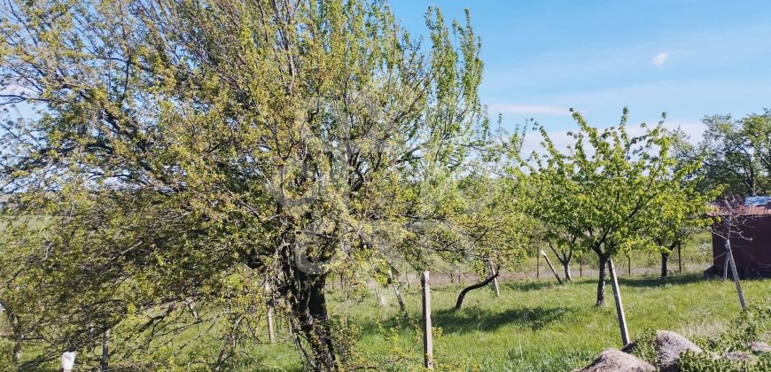 Teren intravilan de vanzare 1665 mp pe strada Piatra Craiului