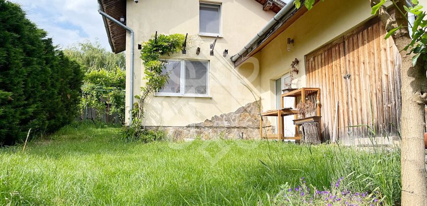 Casa cu teren 2052 mp in Saldabagiu de Munte