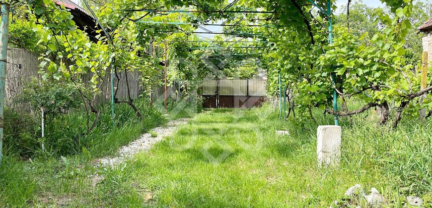 Casa cu teren 2052 mp in Saldabagiu de Munte