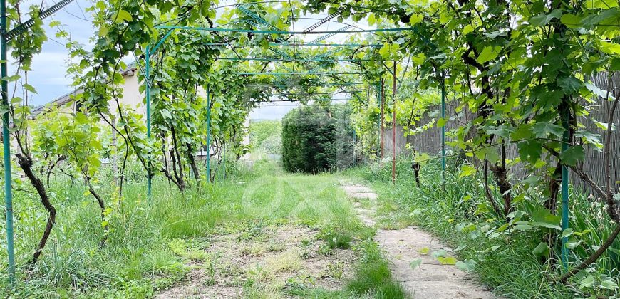 Casa cu teren 2052 mp in Saldabagiu de Munte
