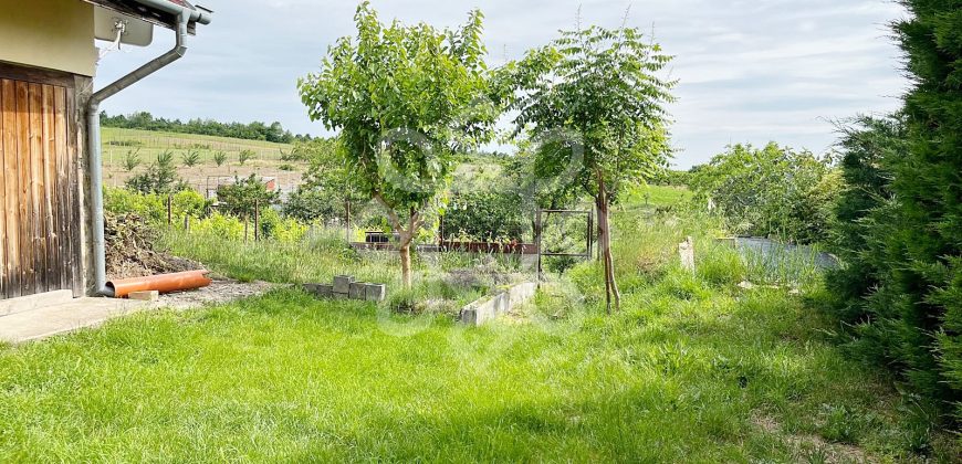 Casa cu teren 2052 mp in Saldabagiu de Munte