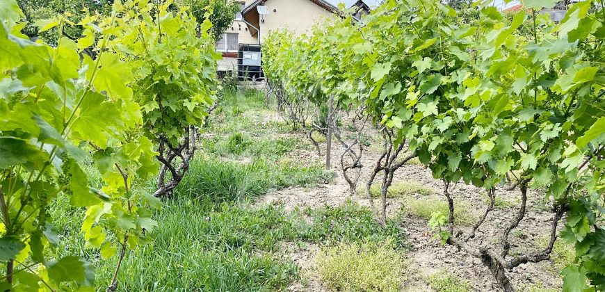 Casa cu teren 2052 mp in Saldabagiu de Munte