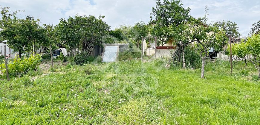 Casa cu teren 2052 mp in Saldabagiu de Munte
