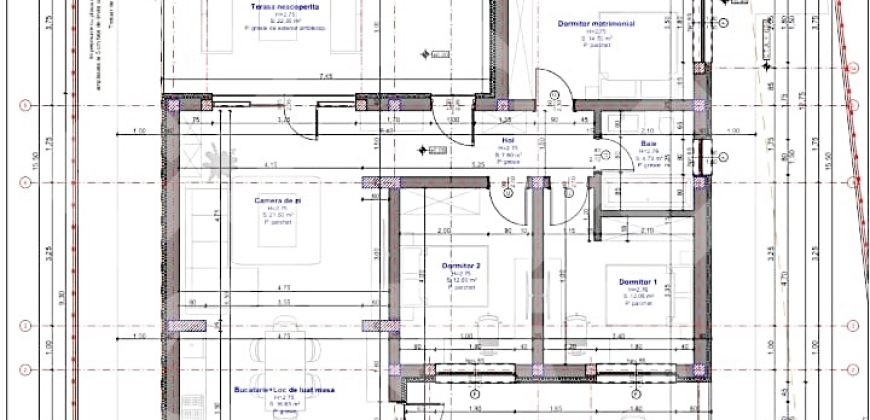 Casa noua pe nivel cu 4 camere in Saldabagiu de Munte