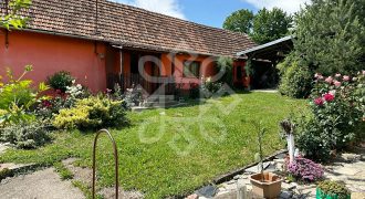 2 Case si teren de vanzare in Sat Burzuc, Bihor