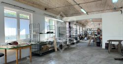 Hala industriala de inchiriat in Biharia