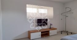 Apartament cu 1 camera de vanzare ultracentral in Oradea