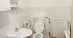 Casa cu 3 camere de inchiriat zona Onestilor