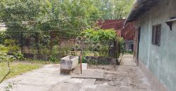 Casa cu 3 camere de inchiriat zona Onestilor