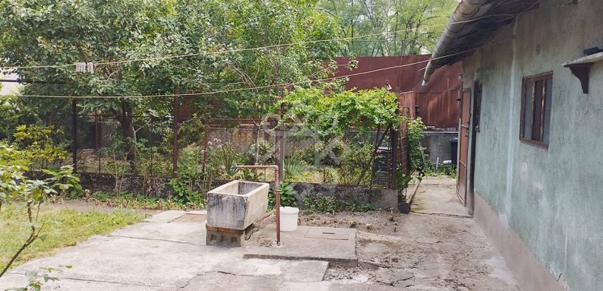 Casa cu 3 camere de inchiriat zona Onestilor