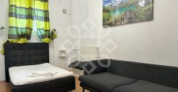 Casa cu 5 camere la curte comuna, ultracentral in Oradea