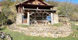 Casa de vacanta din busteni, zona superba la 27 km de Oradea