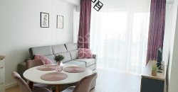 Apartament cu 2 camere de inchiriat in Prima Arena Iosia